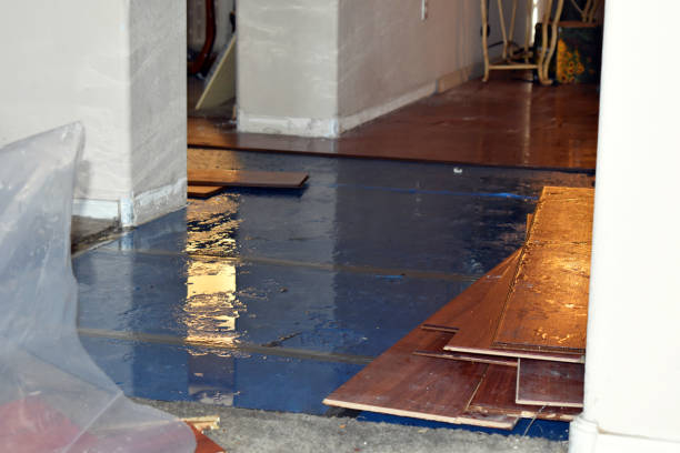 Professional Burst Pipe Cleanup technician working in Shonto, AZ