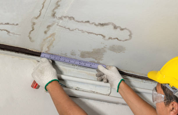 Reliable Burst Pipe Cleanup contractor in Shonto, AZ by Water Damage Irwin